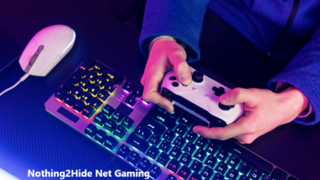 Nothing2Hide Net Gaming