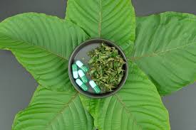 Kratom Drug