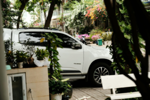 Luxurious Eco-Friendly Auto Air Fresheners