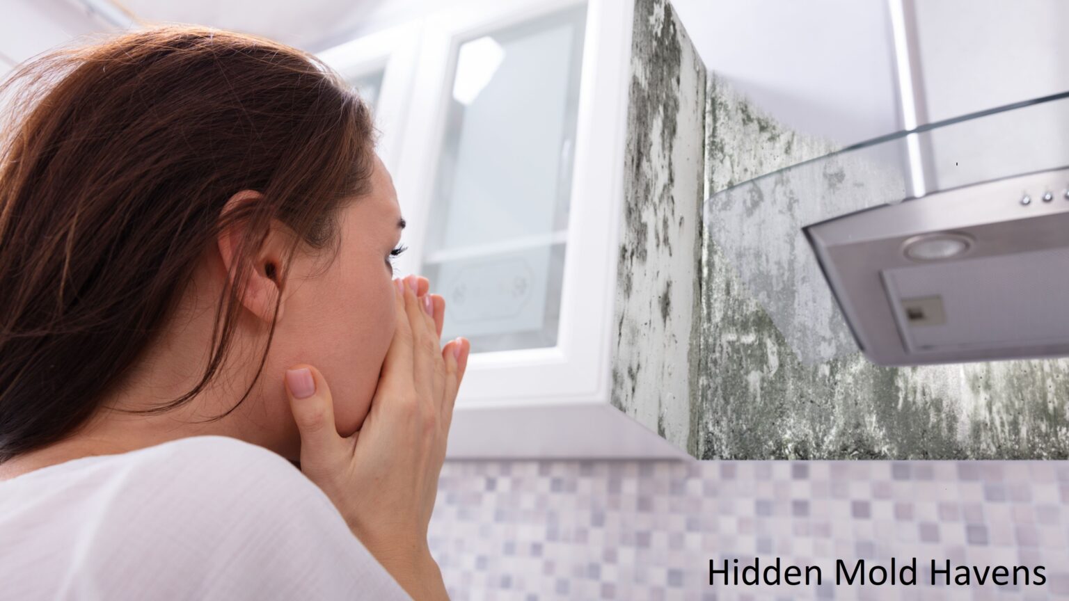 Hidden Mold Havens