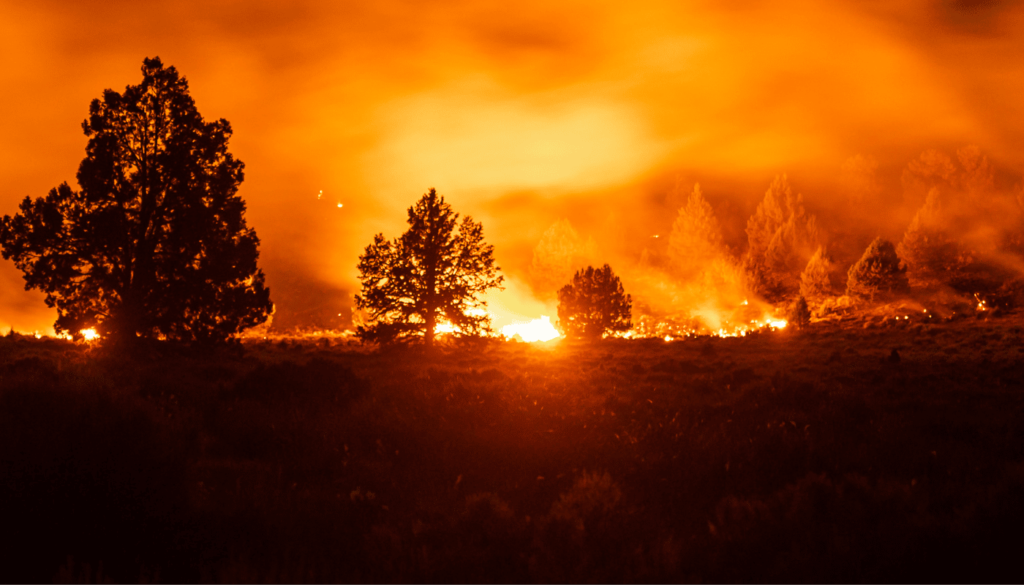 Strength Under Pressure, How Critical Infrastructure Stays Standing After Disaster Strikes Disaster Strikes